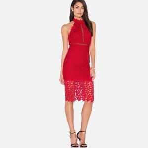 Bardot Women's Lace Lined Low Back Gemma Dress in Formula One - Sz L NWT